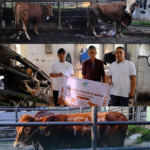 Kegiatan Tahunan, PT Tirta Asasta Depok Sembelih 42 Ekor Hewan Qurban
