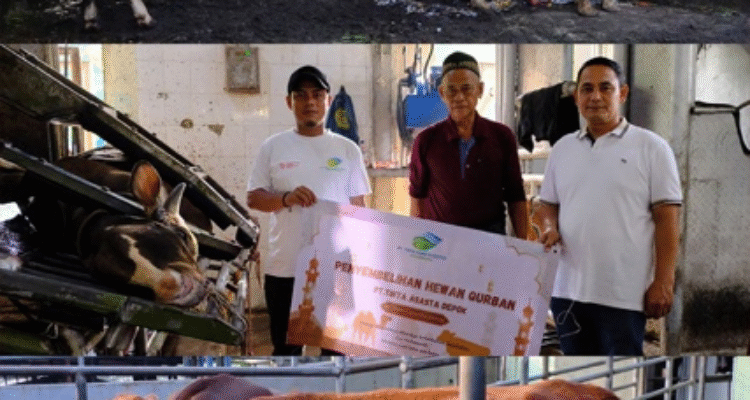 Kegiatan Tahunan, PT Tirta Asasta Depok Sembelih 42 Ekor Hewan Qurban
