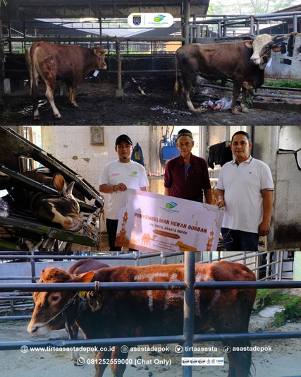 Kegiatan Tahunan, PT Tirta Asasta Depok Sembelih 42 Ekor Hewan Qurban
